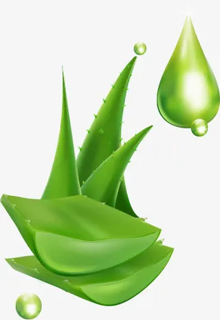 女性化妆品设计矢量素材,免抠