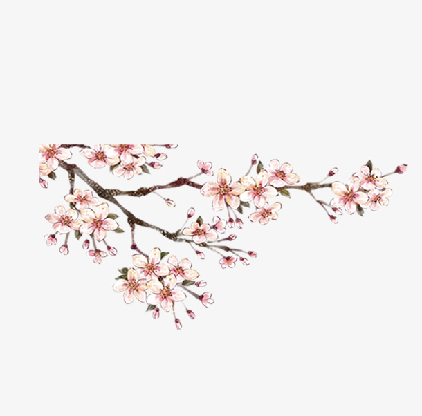 清新淡雅花朵素材免抠