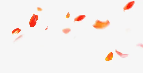 飞舞的花瓣免抠