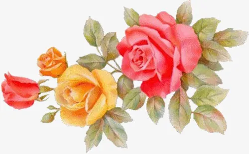 手绘花免抠