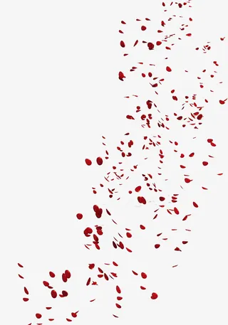 漂亮玫瑰花瓣免抠