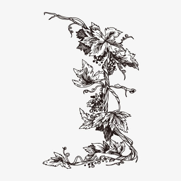 手绘黑色植物免抠
