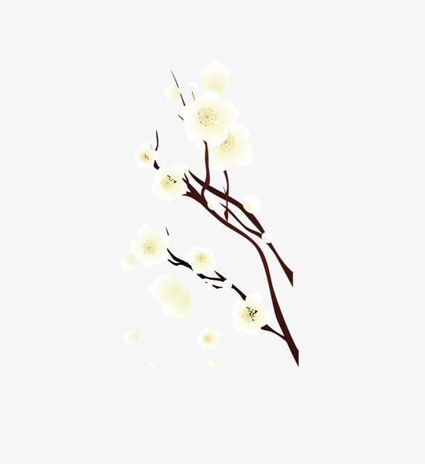 梅花免抠
