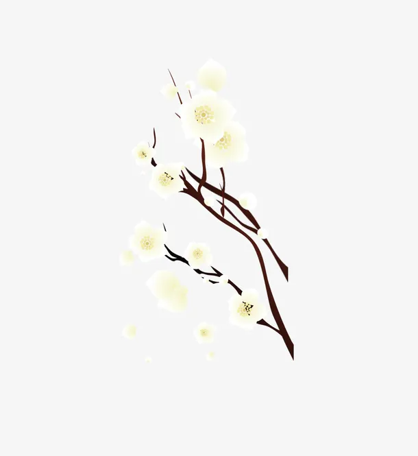 梅花免抠