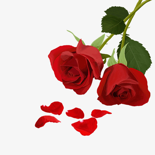 玫瑰花 红色免抠