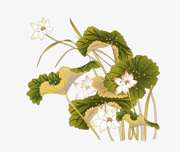 国画荷花免抠