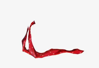 红色花朵图案彩带免抠