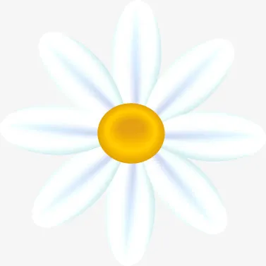 手绘白色花朵春天免抠