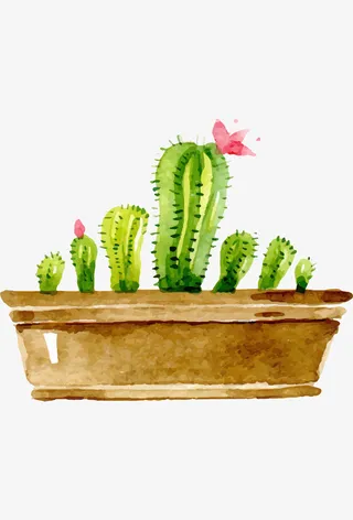 手绘卡通仙人球盆栽免抠