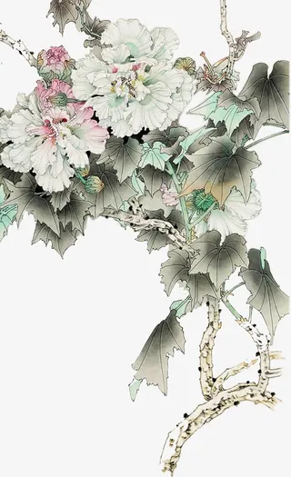 中国风淡雅木芙蓉免抠