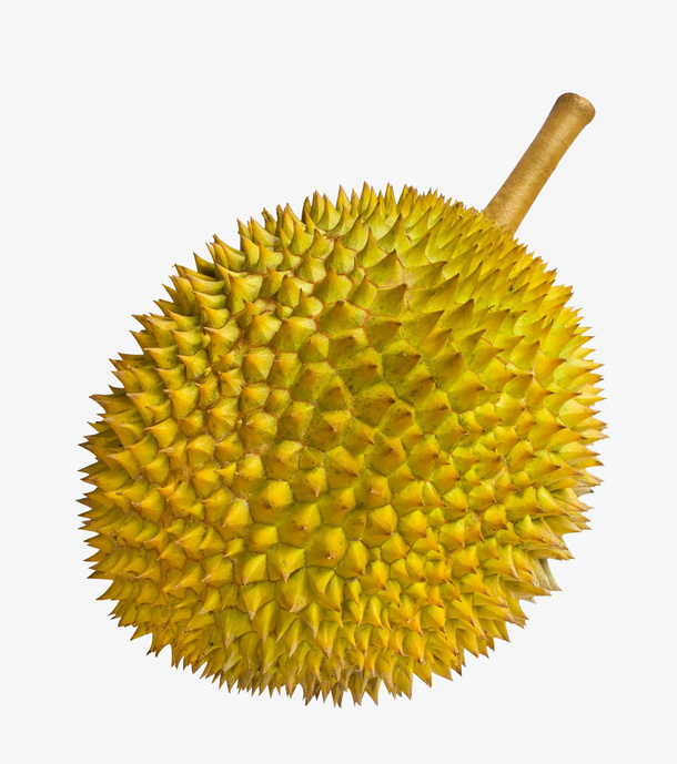 完整的一颗新鲜榴莲免抠