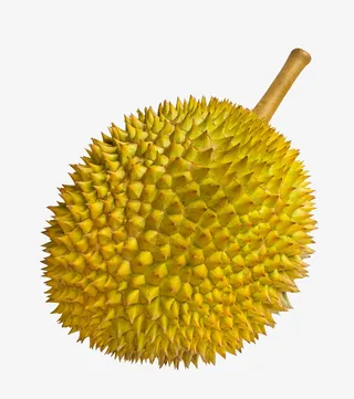 完整的一颗新鲜榴莲免抠