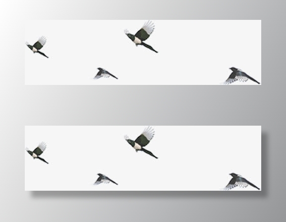 燕子 飞鸟群免抠装饰动物元素