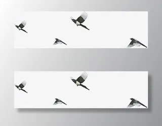 燕子 飞鸟群免抠装饰动物元素