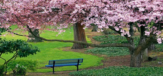 风景背景图高清