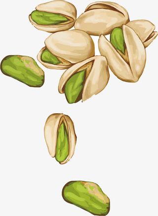 手绘开心果矢量图免抠