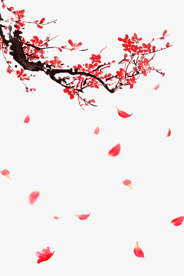 素材 通用 矢量 PNG 梅花 绘画免抠