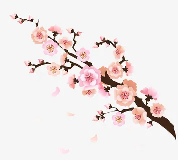 淡雅粉色梅花免抠