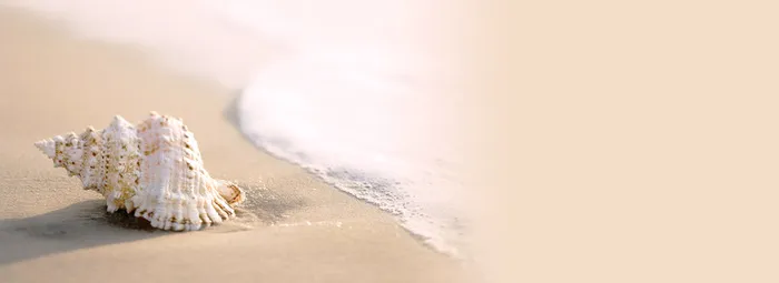 淘宝背景高清