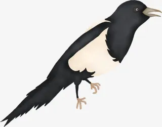 燕子冬季海报设计免抠