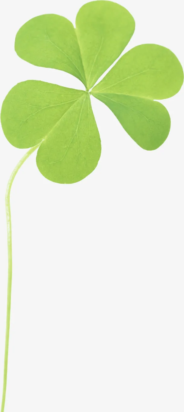幸运草免抠