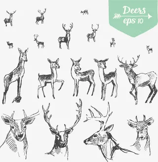 矢量梅花鹿免抠