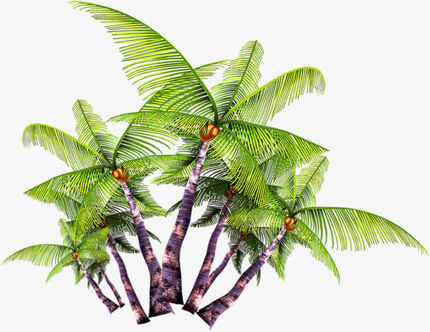 夏日摄影椰子树效果杂乱免抠