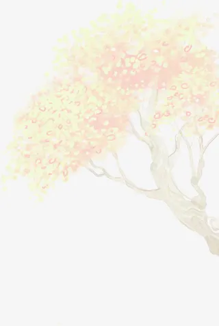 月桂树七夕情人节免抠