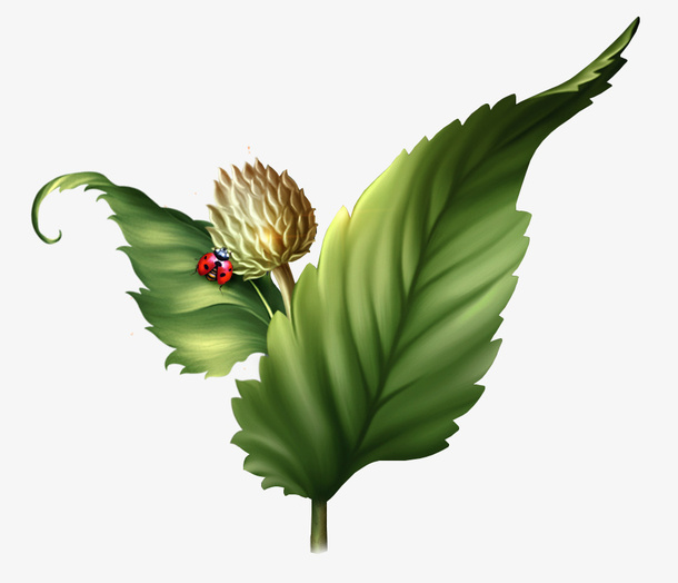 彩色春天植物免抠