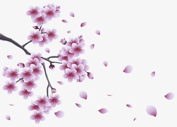 唯美飘落桃花免抠