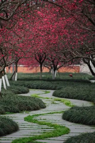 红色唯美树枝植物免抠