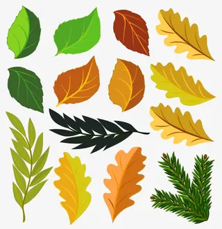 卡通树叶叶子免抠