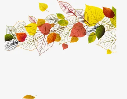 树叶漂浮元素免抠