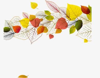 树叶漂浮元素免抠