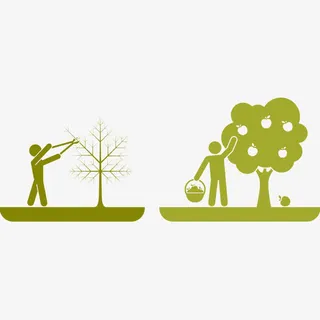人物 植树免抠