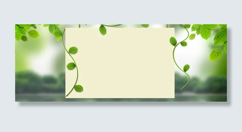 夏天植物背景高清