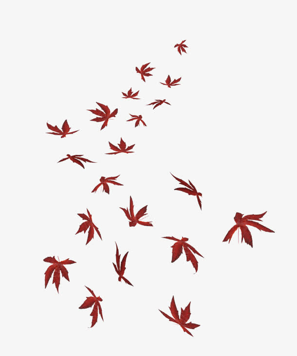 枫叶落叶免抠
