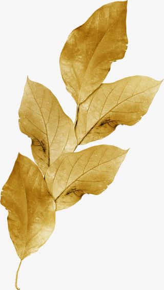 黄色树叶白色底版免抠