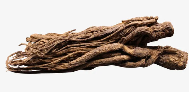 药材当归免抠