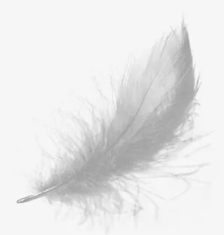 蓬松灰白色七夕免抠