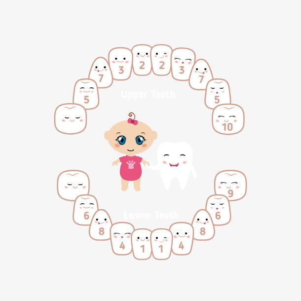 婴儿卡通牙齿免抠