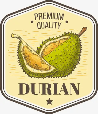 绿色水果榴莲免抠
