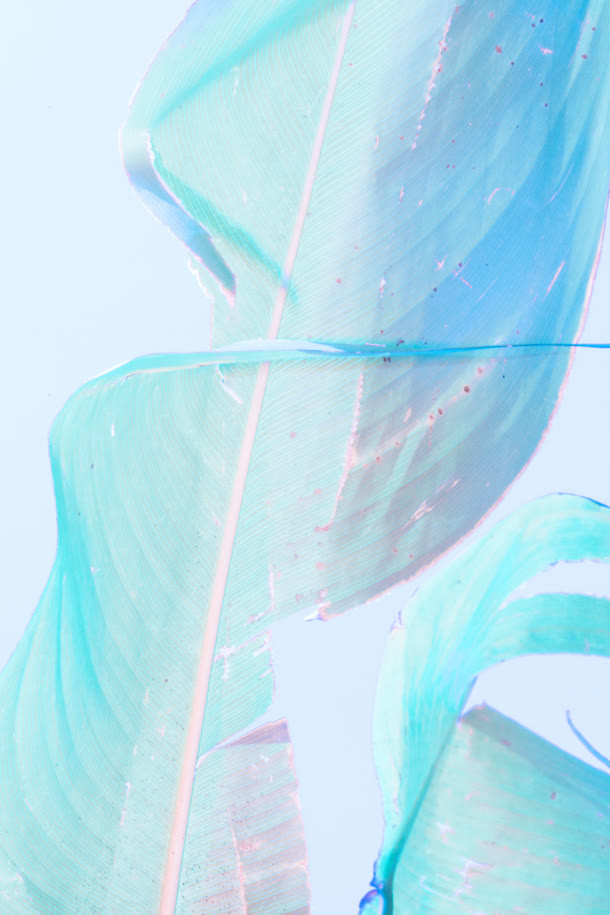 蓝色光效丝带树叶免抠