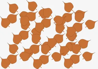 一堆黄色落叶免抠