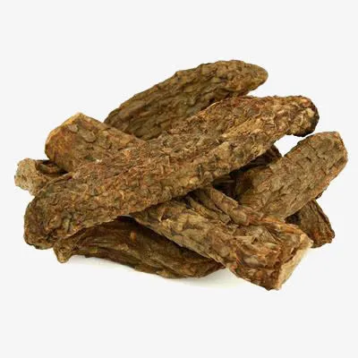 中药材肉苁蓉免抠