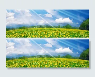 唯美梦幻背景高清