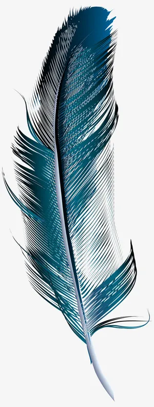 飘逸好看的羽毛免抠