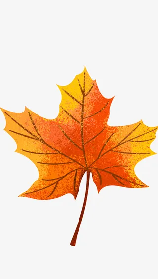 手绘红色秋天枫叶免抠