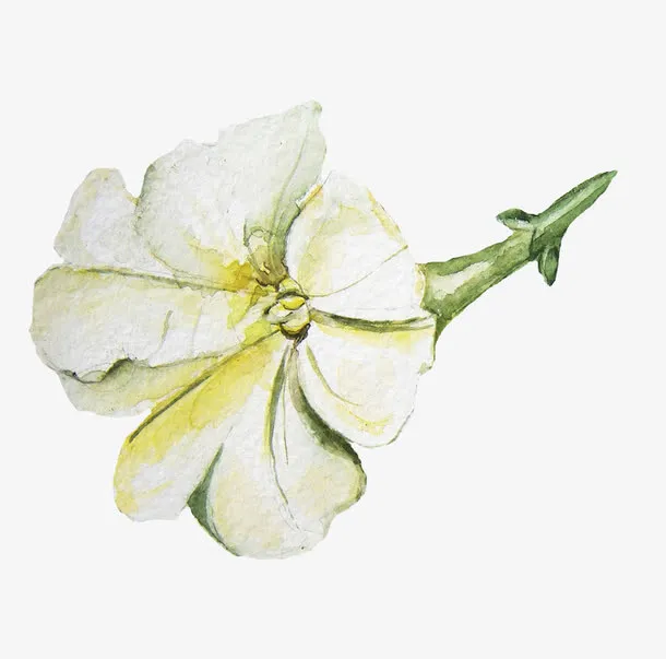 清新水墨手绘花朵免抠