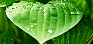 淘宝背景图高清